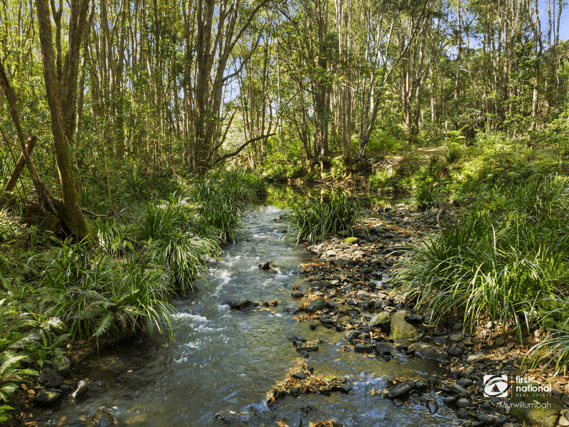 145 Smiths Creek Road, Uki, NSW 2484