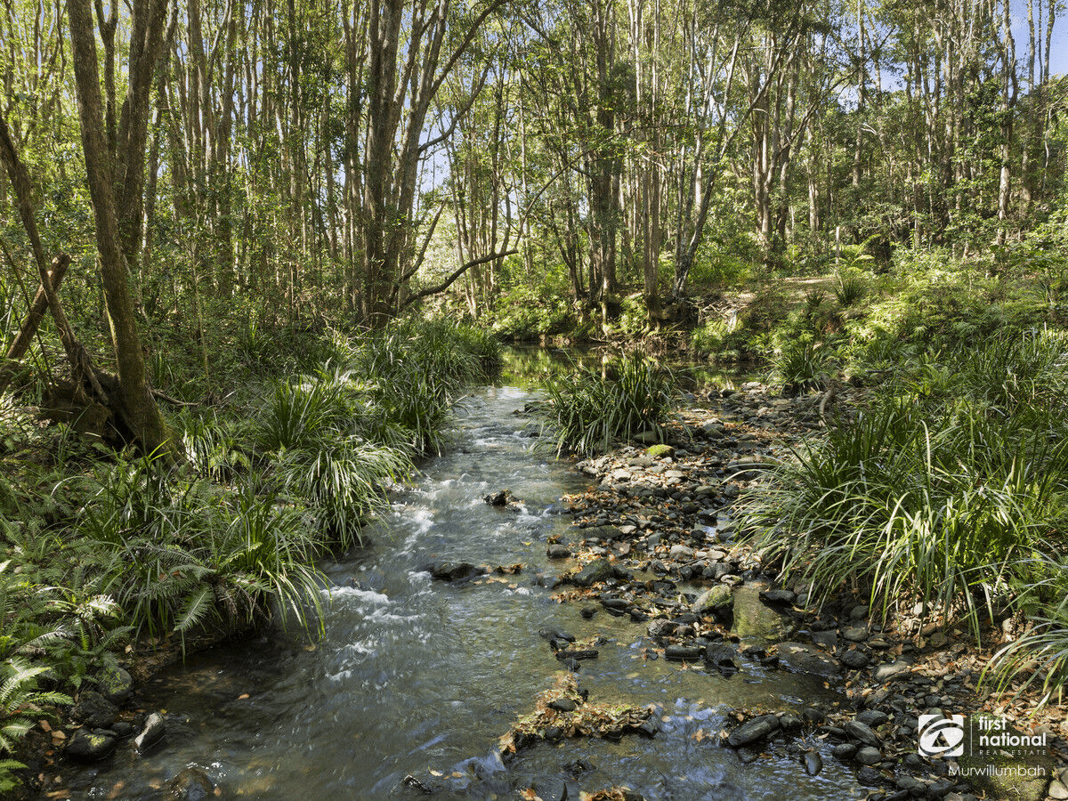 145 Smiths Creek Road, Uki, NSW 2484