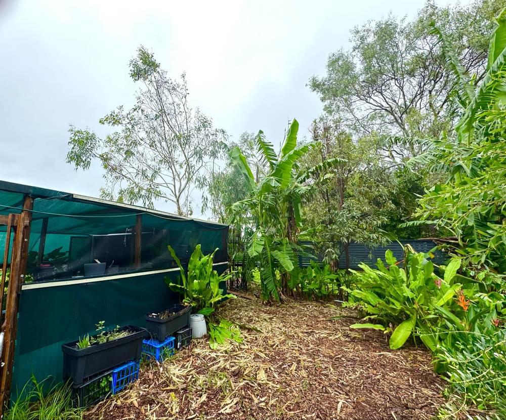 94 Gifford Street, Horseshoe Bay, QLD 4819