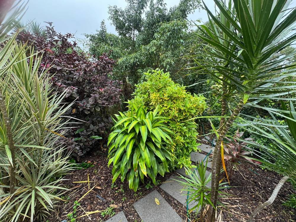 94 Gifford Street, Horseshoe Bay, QLD 4819