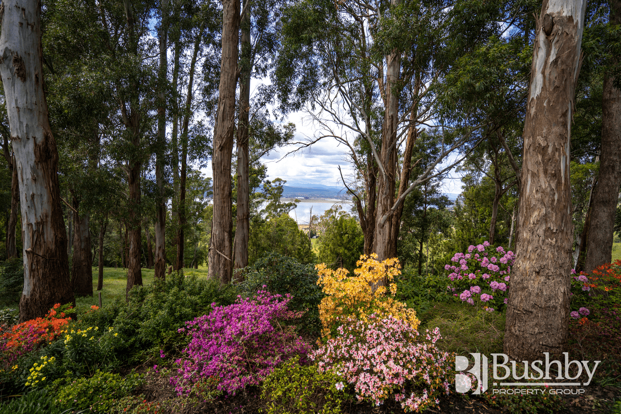 203 Rosevears Drive, ROSEVEARS, TAS 7277