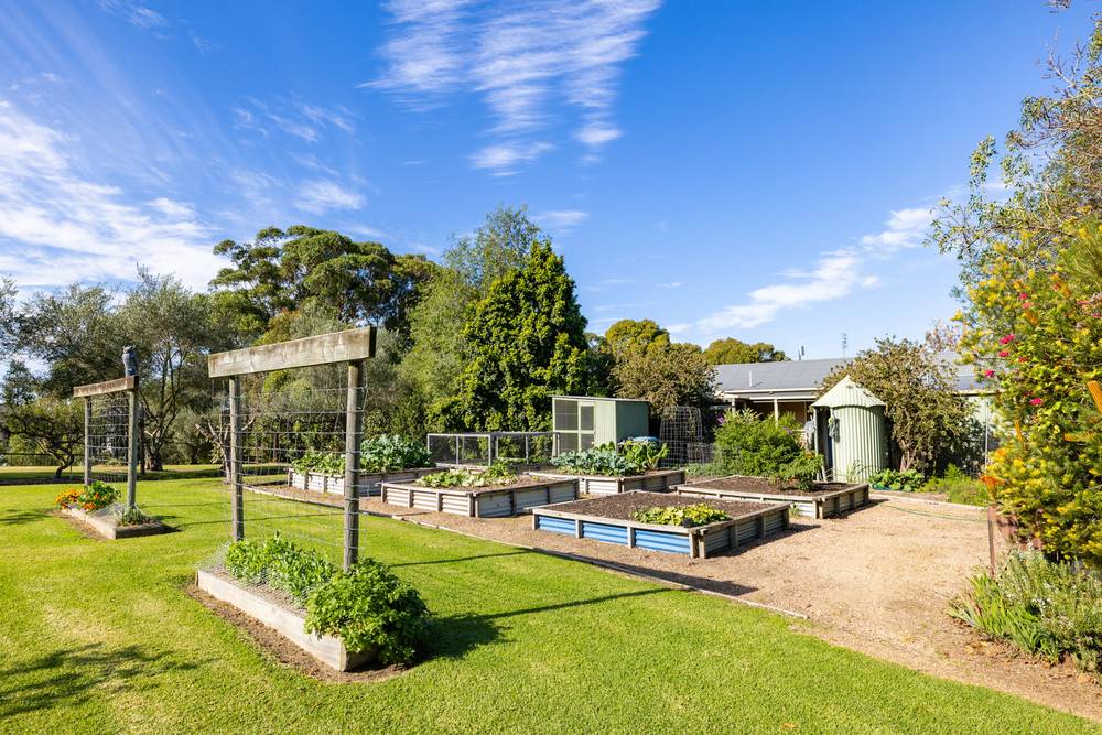 9 Punt Road, Johnsonville, VIC 3902