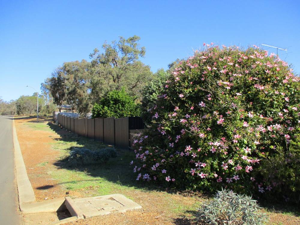 27 Arthur Street, DARKAN, WA 6392