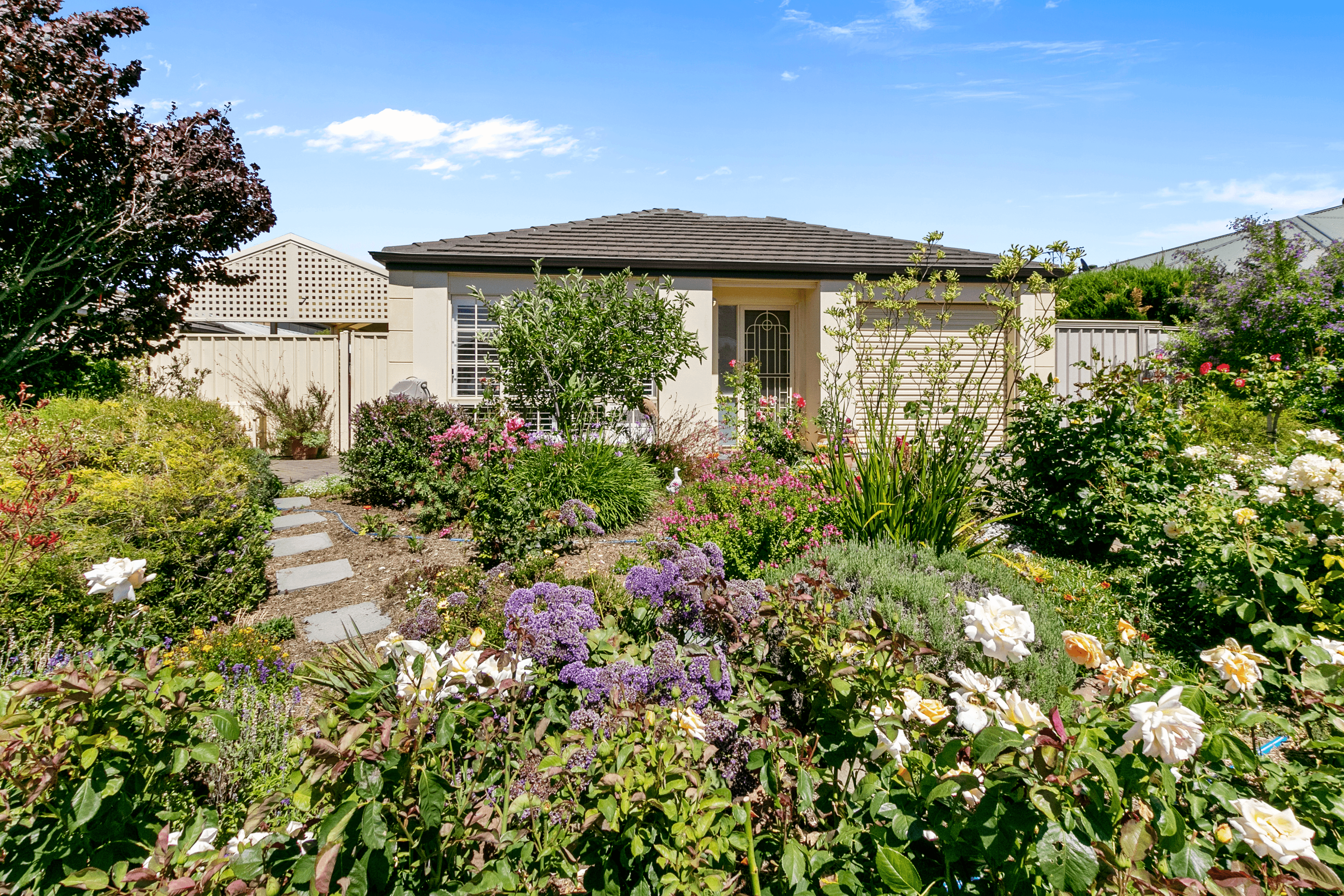 13 Mundulla Avenue, WOODCROFT, SA 5162