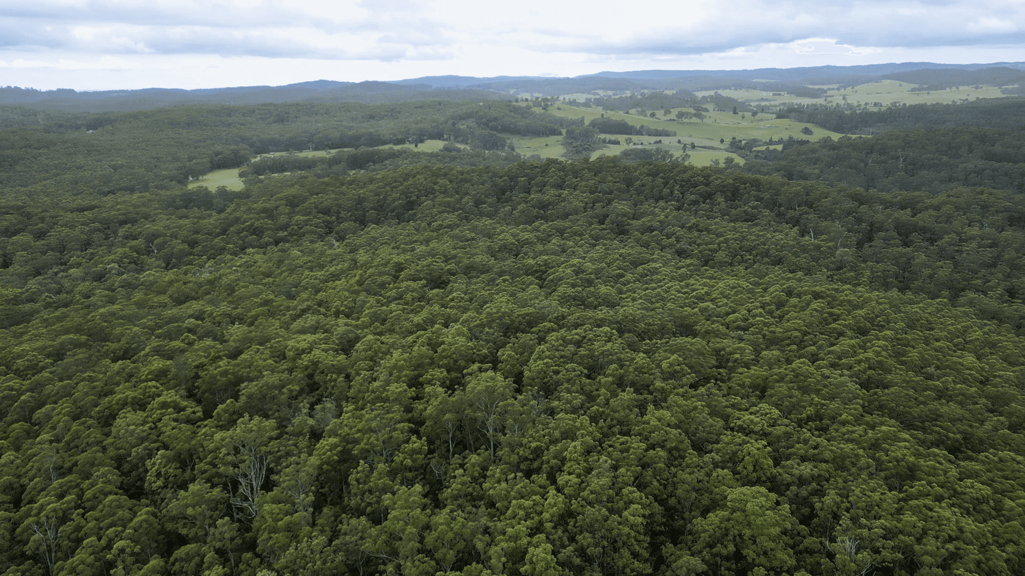 Lot 184 Camp Creek Road Lowanna, COFFS HARBOUR, NSW 2450