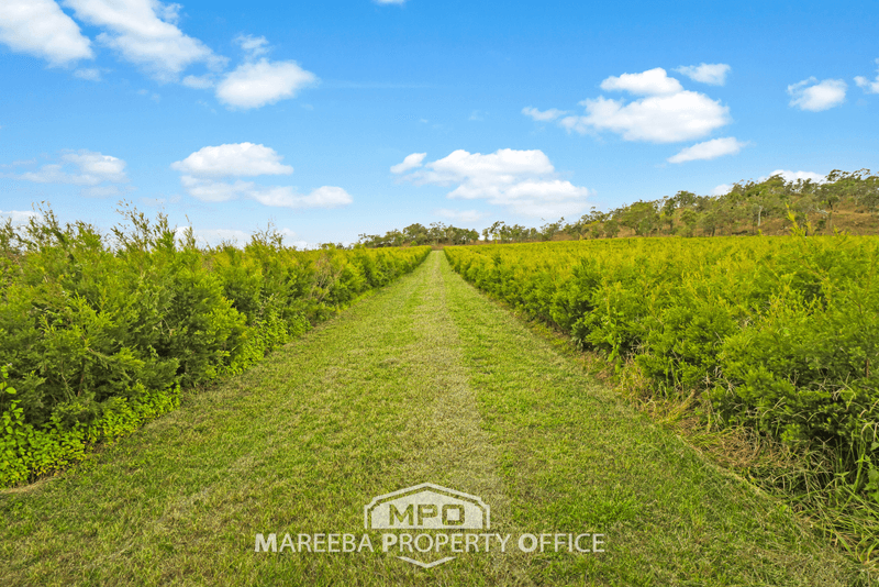 15 Minisini Road, DIMBULAH, QLD 4872