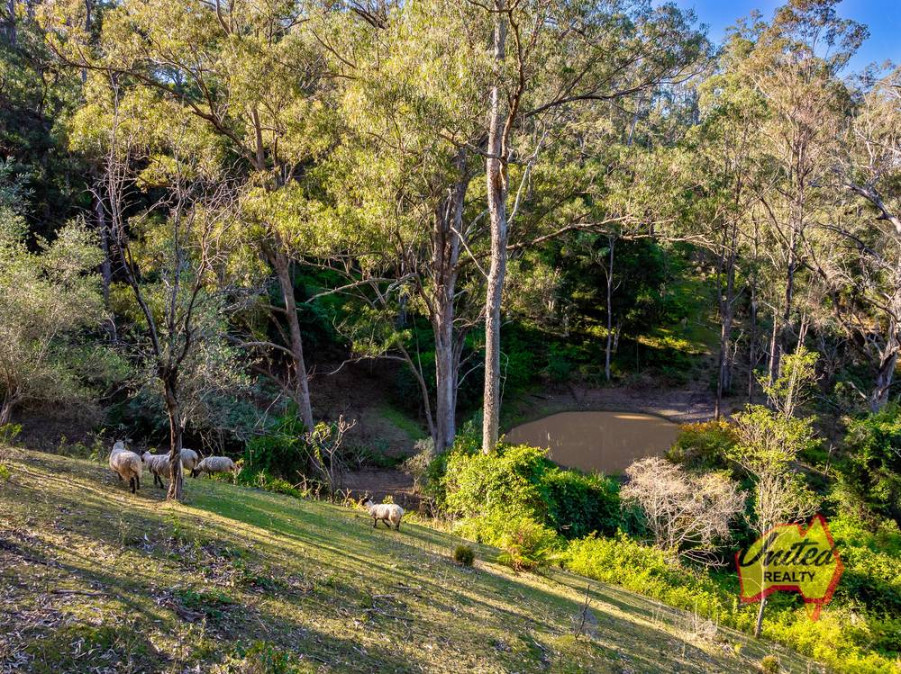 40 Wedgewood Road, The Oaks, NSW 2570