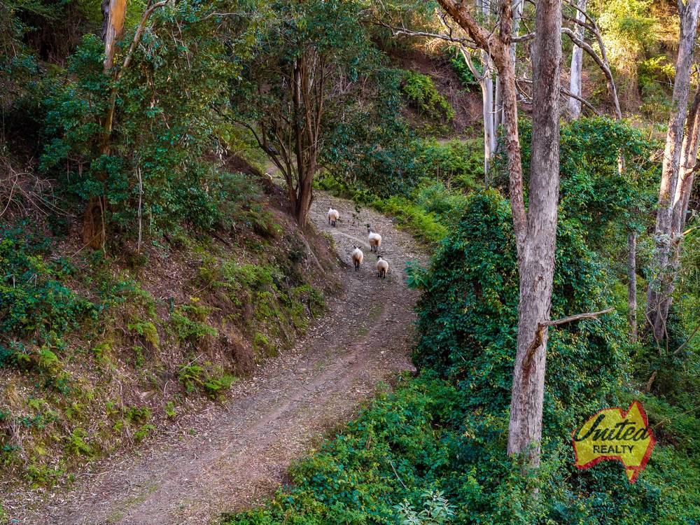40 Wedgewood Road, The Oaks, NSW 2570