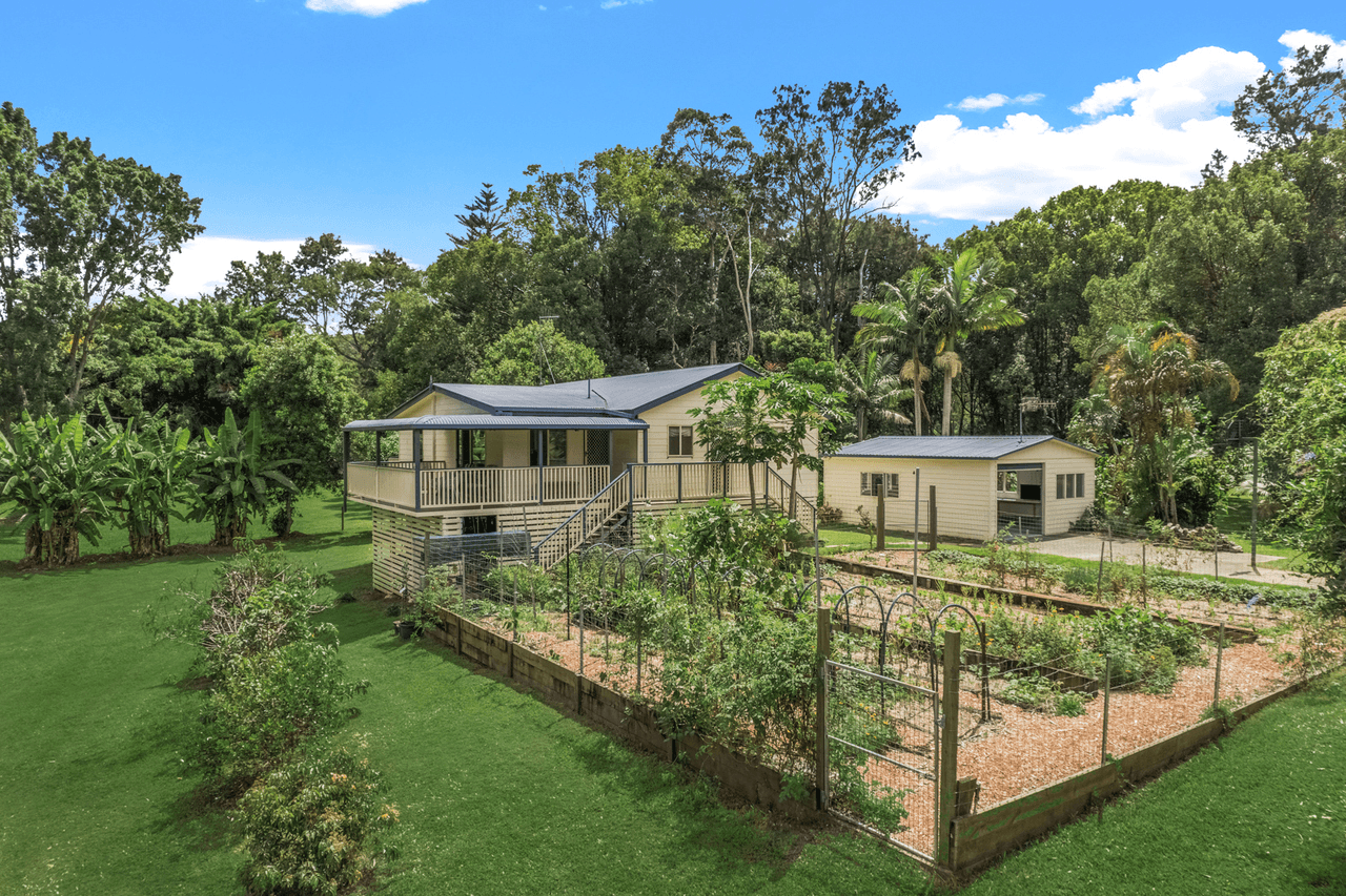 16 Tyalla Court, TALLEBUDGERA, QLD 4228