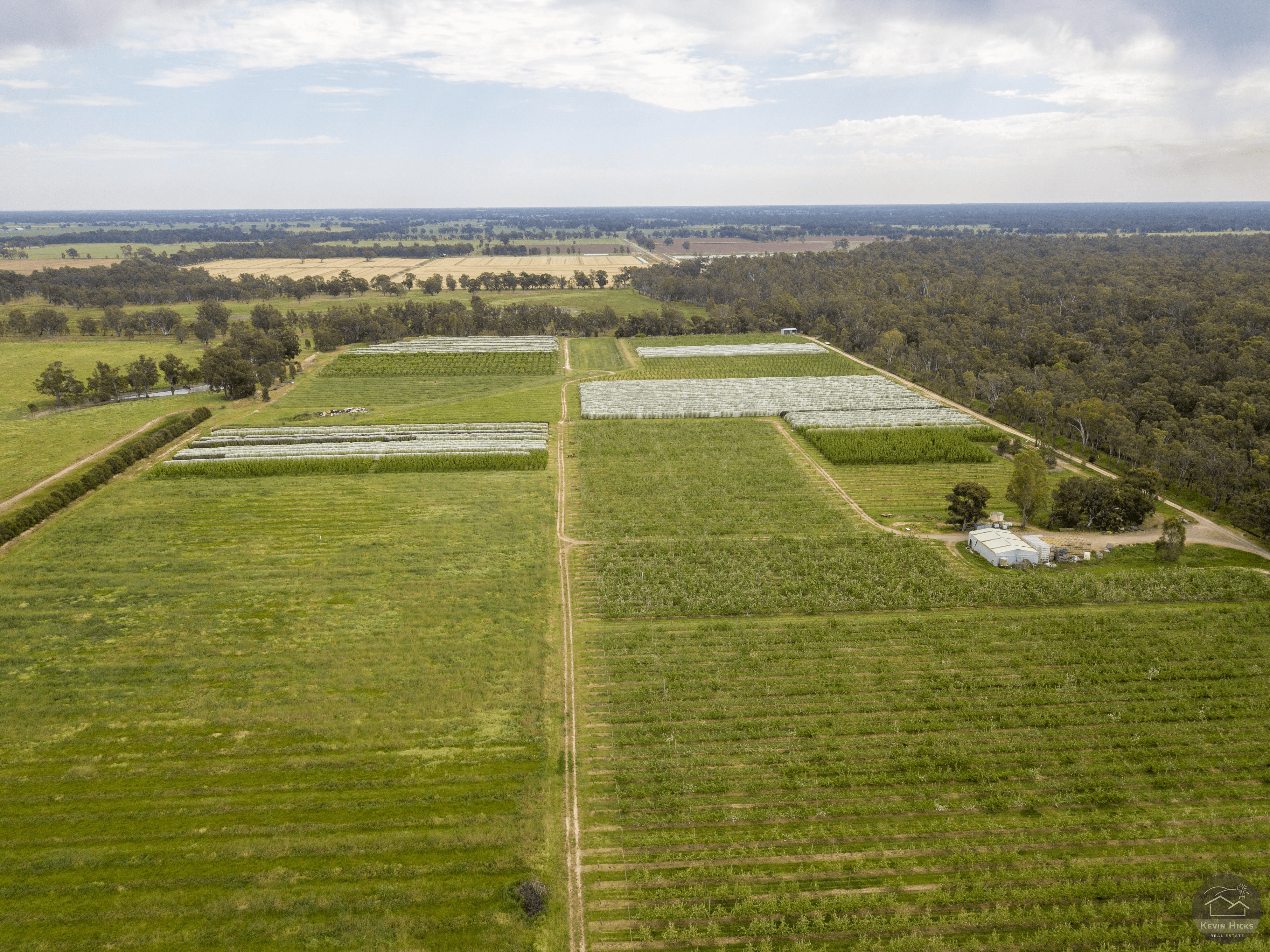 805 Dougan Road, COOMBOONA, VIC 3629