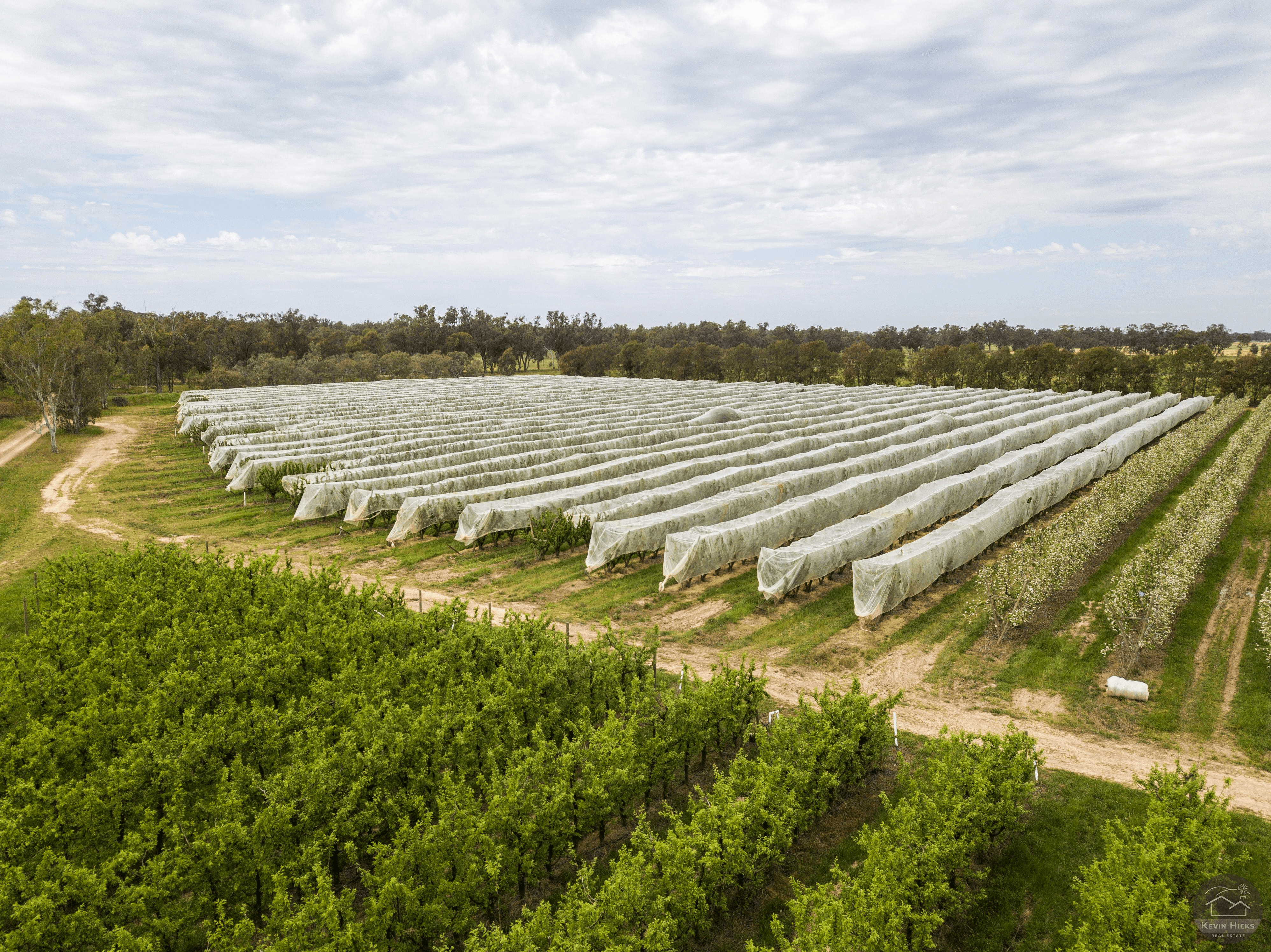 805 Dougan Road, COOMBOONA, VIC 3629