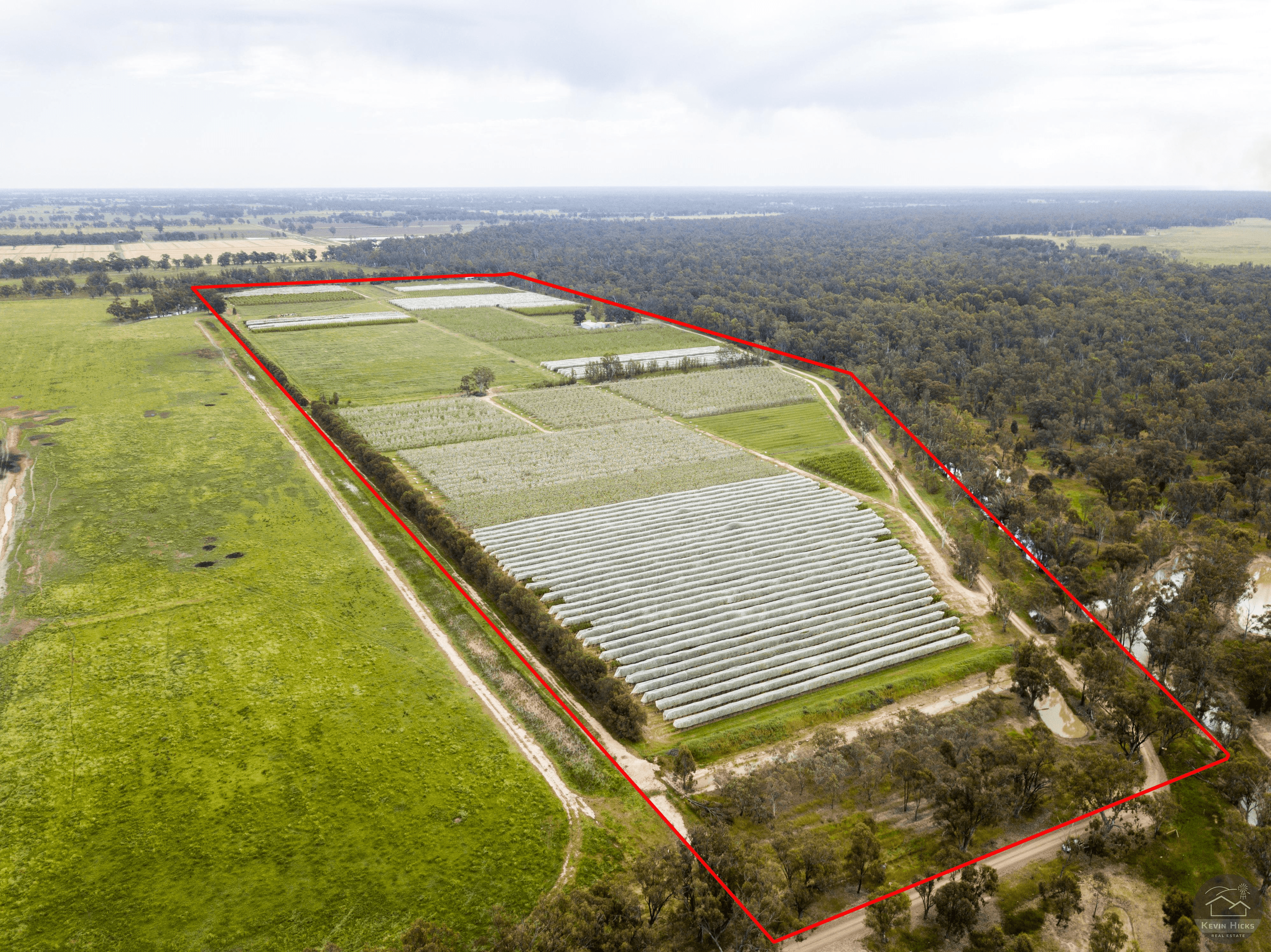 805 Dougan Road, COOMBOONA, VIC 3629