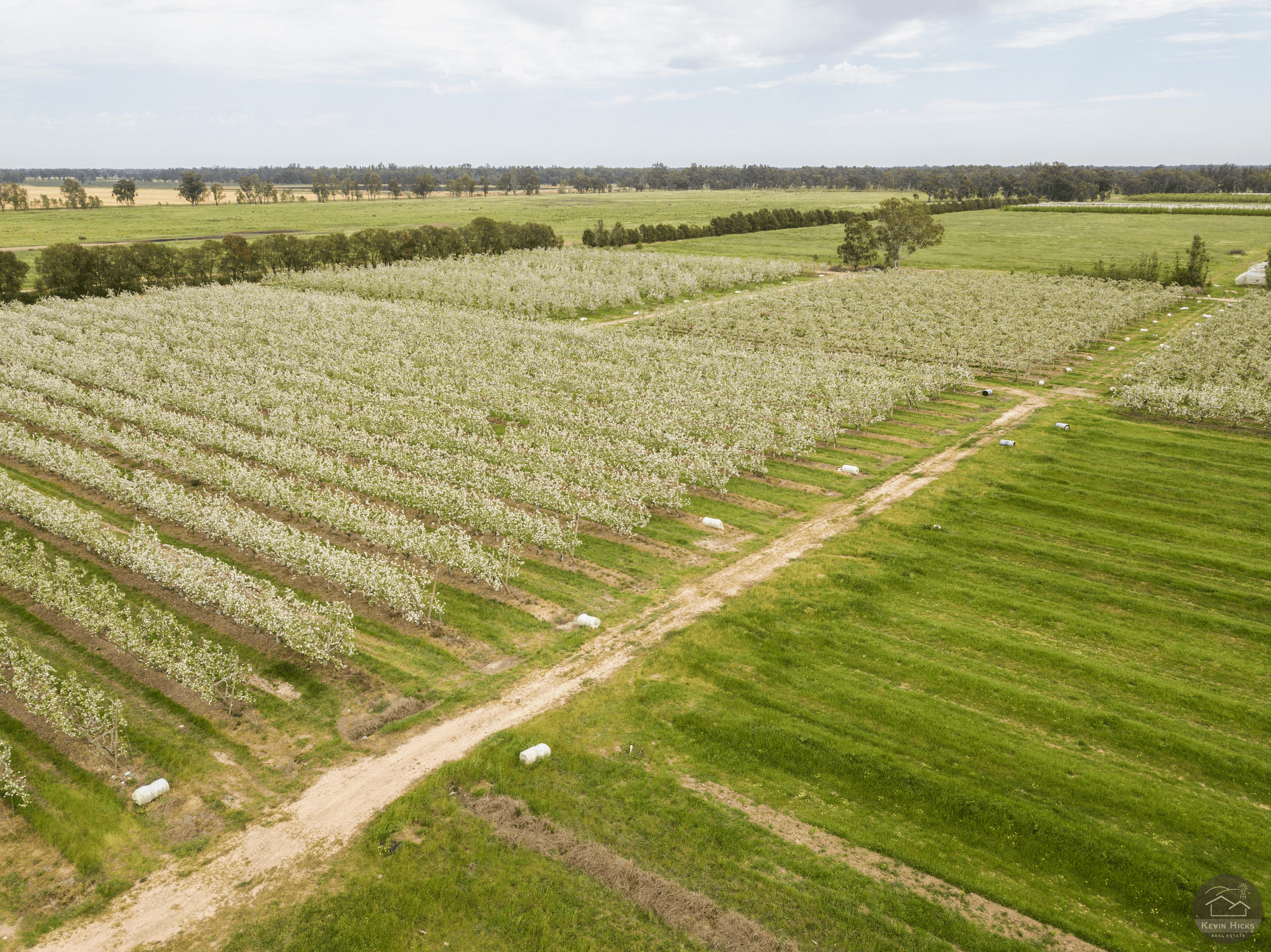 805 Dougan Road, COOMBOONA, VIC 3629