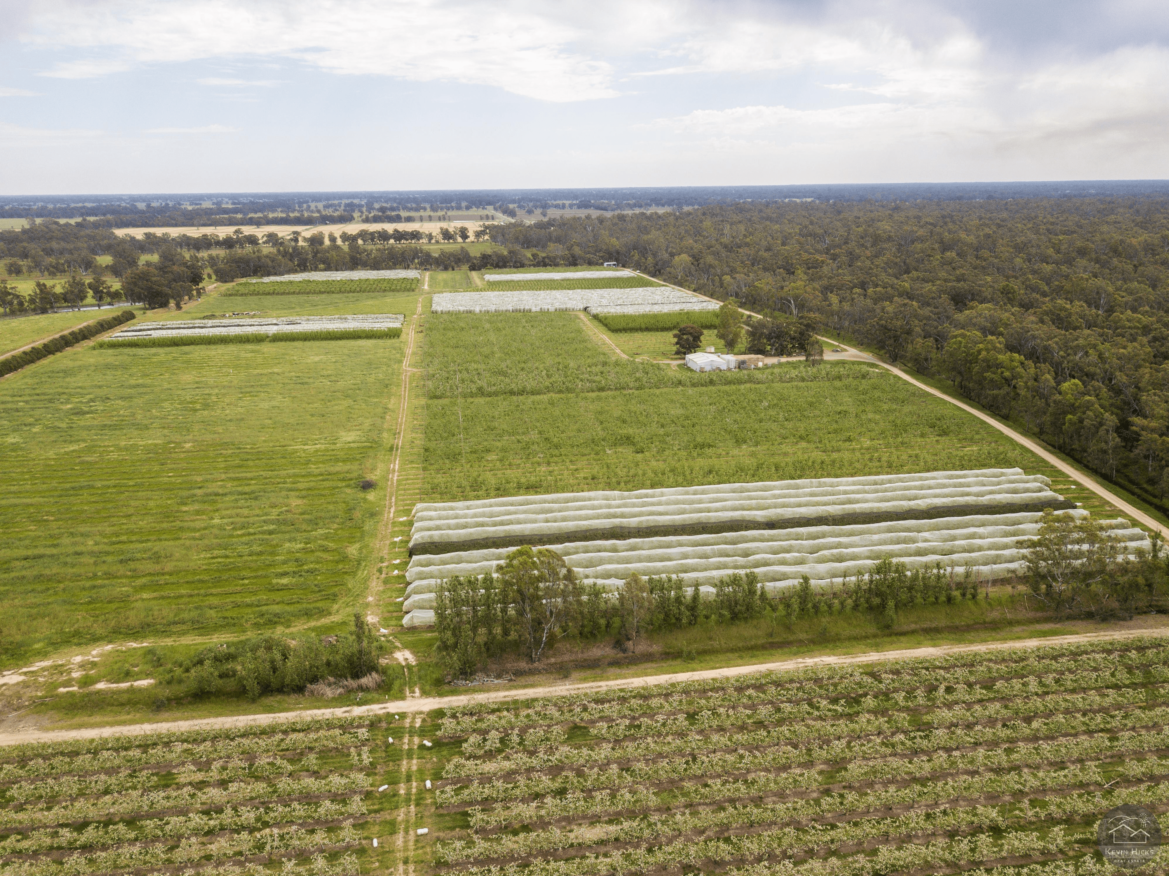 805 Dougan Road, COOMBOONA, VIC 3629