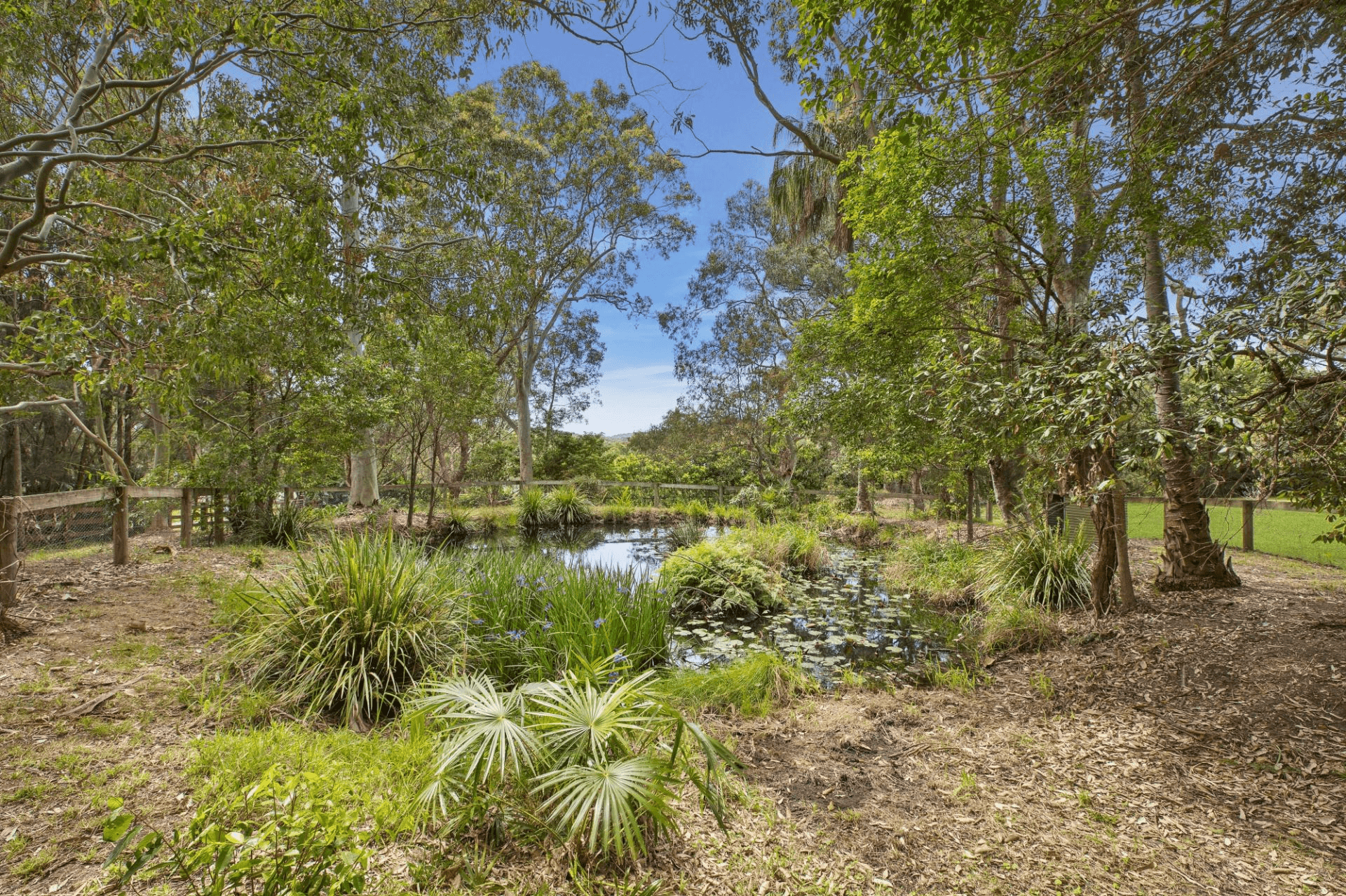 19 Hayden Road, Wamberal, NSW 2260