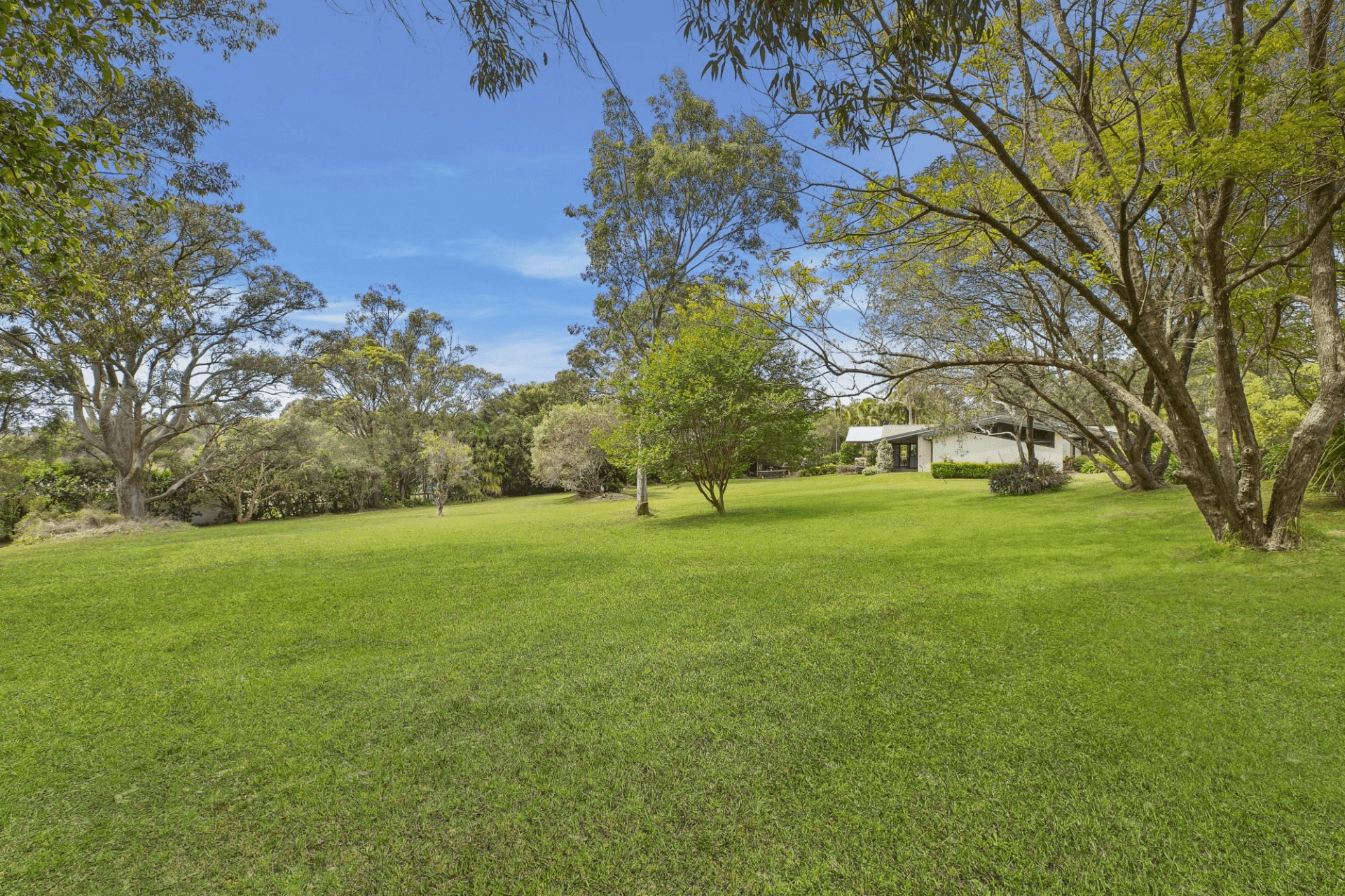 19 Hayden Road, Wamberal, NSW 2260