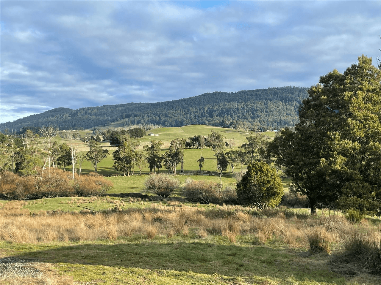 1813 Pipers River Road, Lower Turners Marsh, TAS 7267