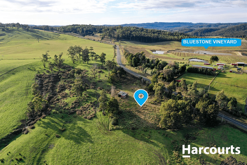 1813 Pipers River Road, Lower Turners Marsh, TAS 7267