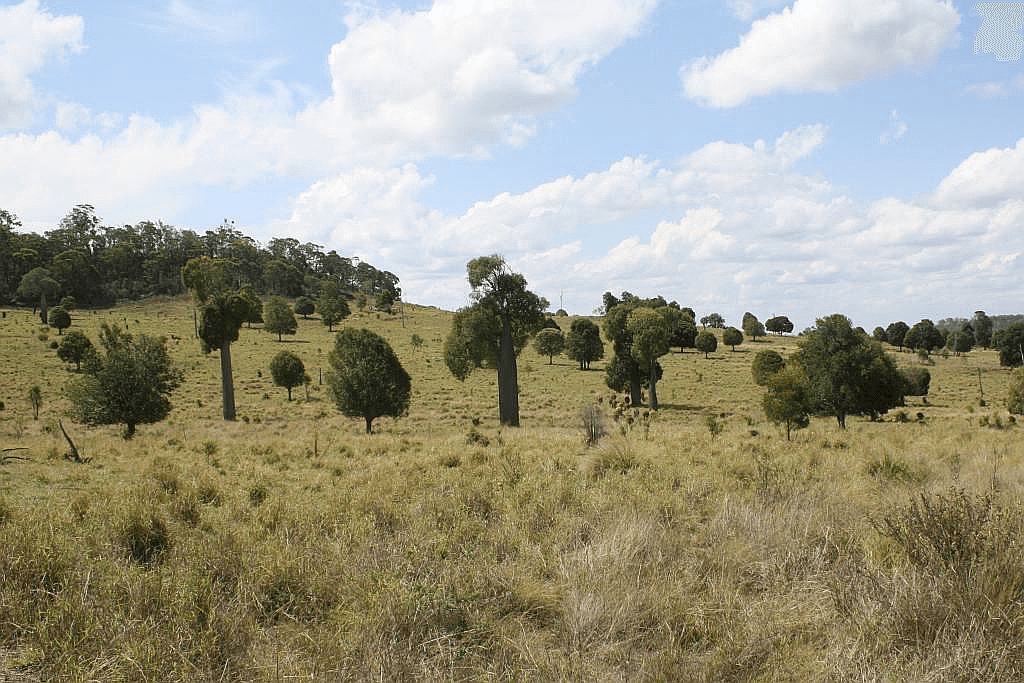 200 Mill Road, MONOGORILBY, QLD 4626