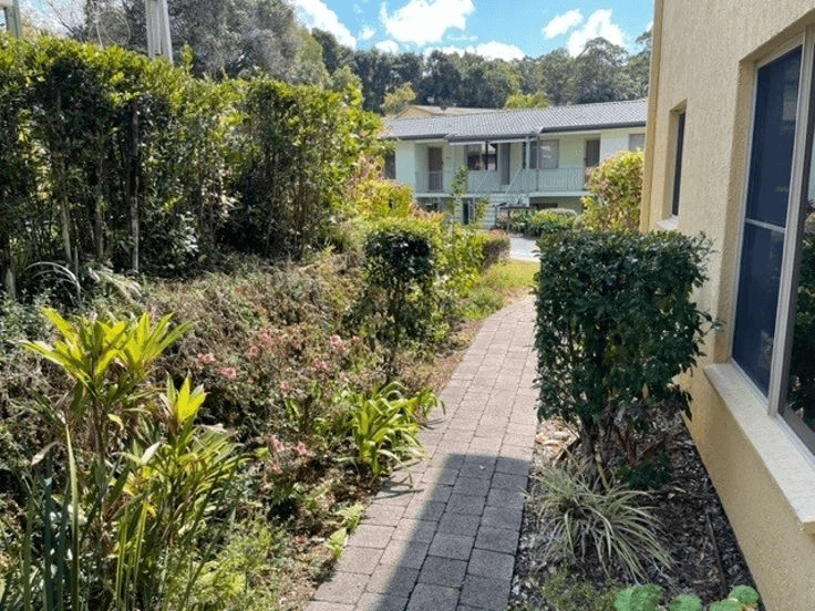 21 Lakeside Drive, MURWILLUMBAH, NSW 2484