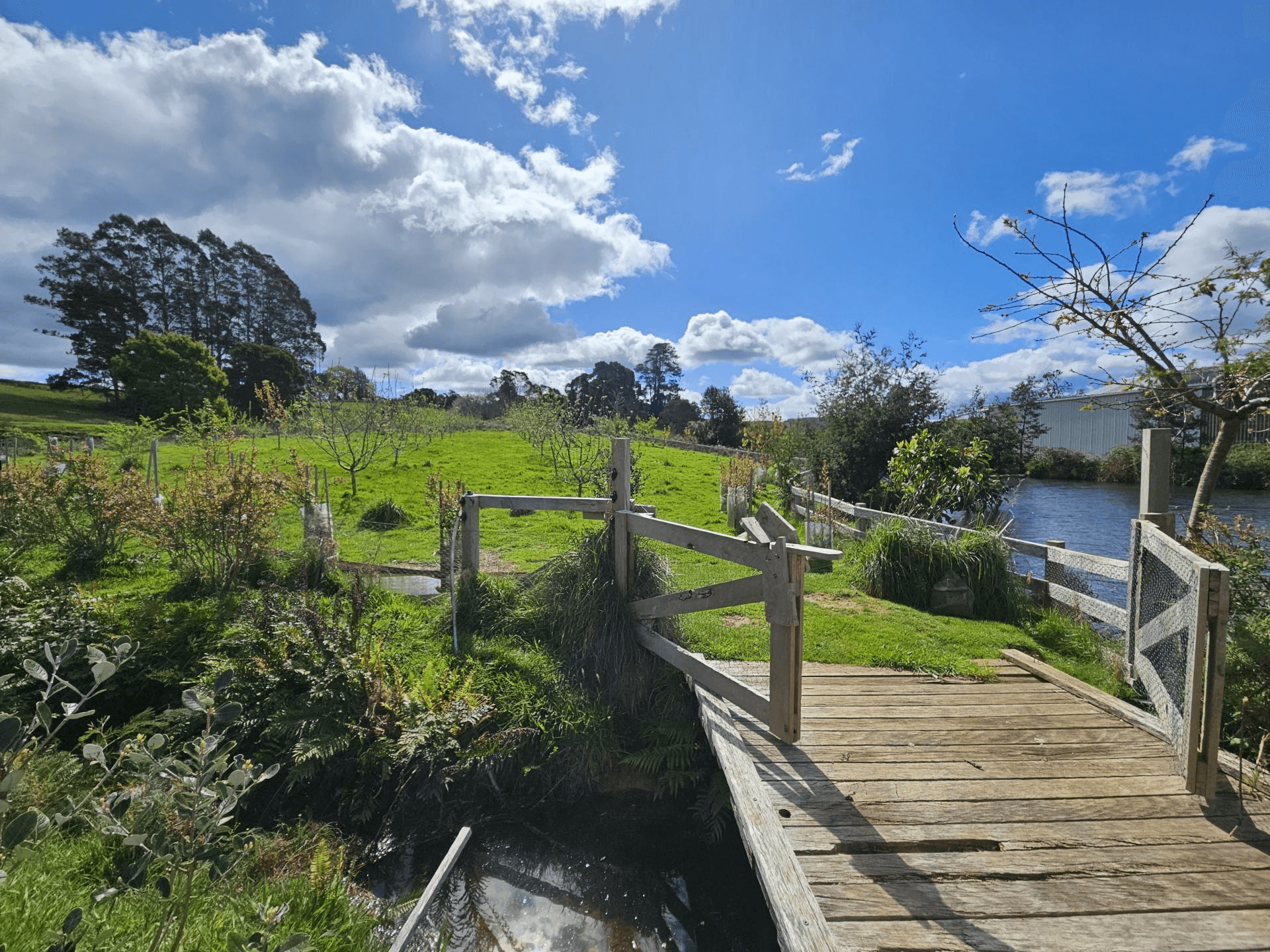 47 Haas Road, Legerwood, TAS 7263