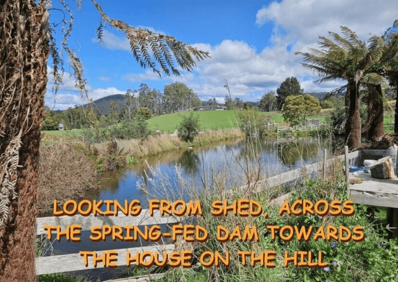 47 Haas Road, Legerwood, TAS 7263