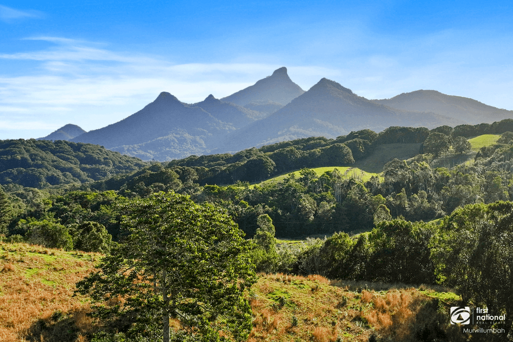 201 Smiths Creek Road, SMITHS CREEK, NSW 2484