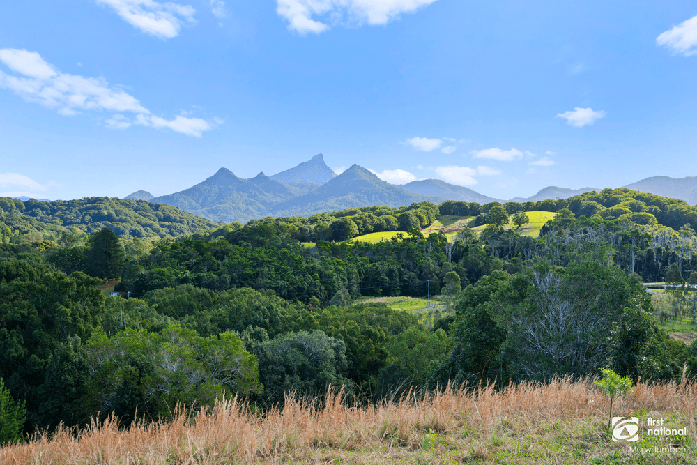 201 Smiths Creek Road, SMITHS CREEK, NSW 2484