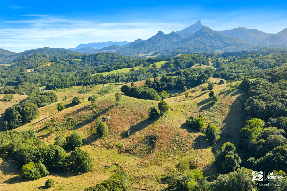 201 Smiths Creek Road, SMITHS CREEK, NSW 2484