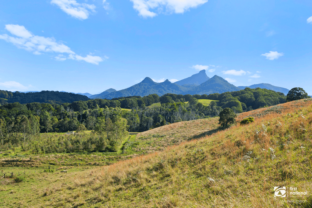 201 Smiths Creek Road, SMITHS CREEK, NSW 2484