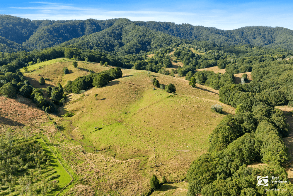 201 Smiths Creek Road, SMITHS CREEK, NSW 2484