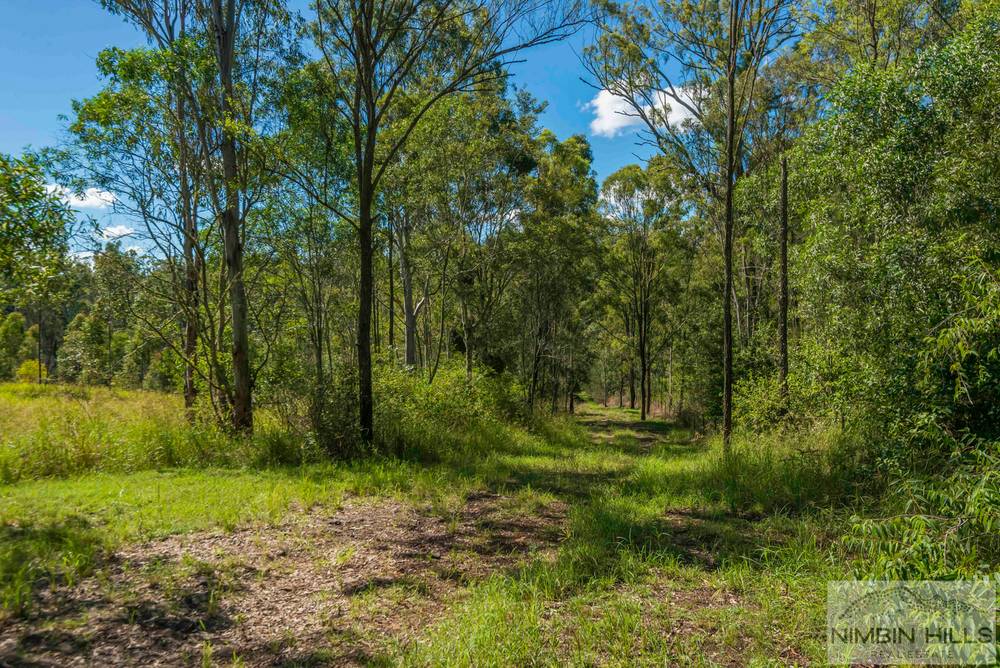 128 Mooneys Lane, ELLANGOWAN, NSW 2470