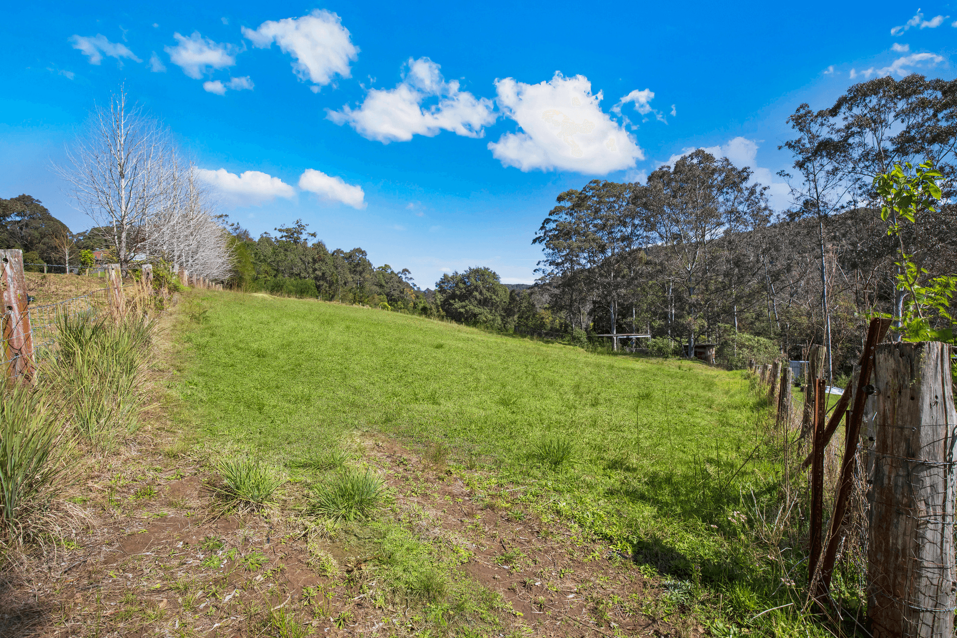 42 Chandlers Lane, Wyong Creek, NSW 2259