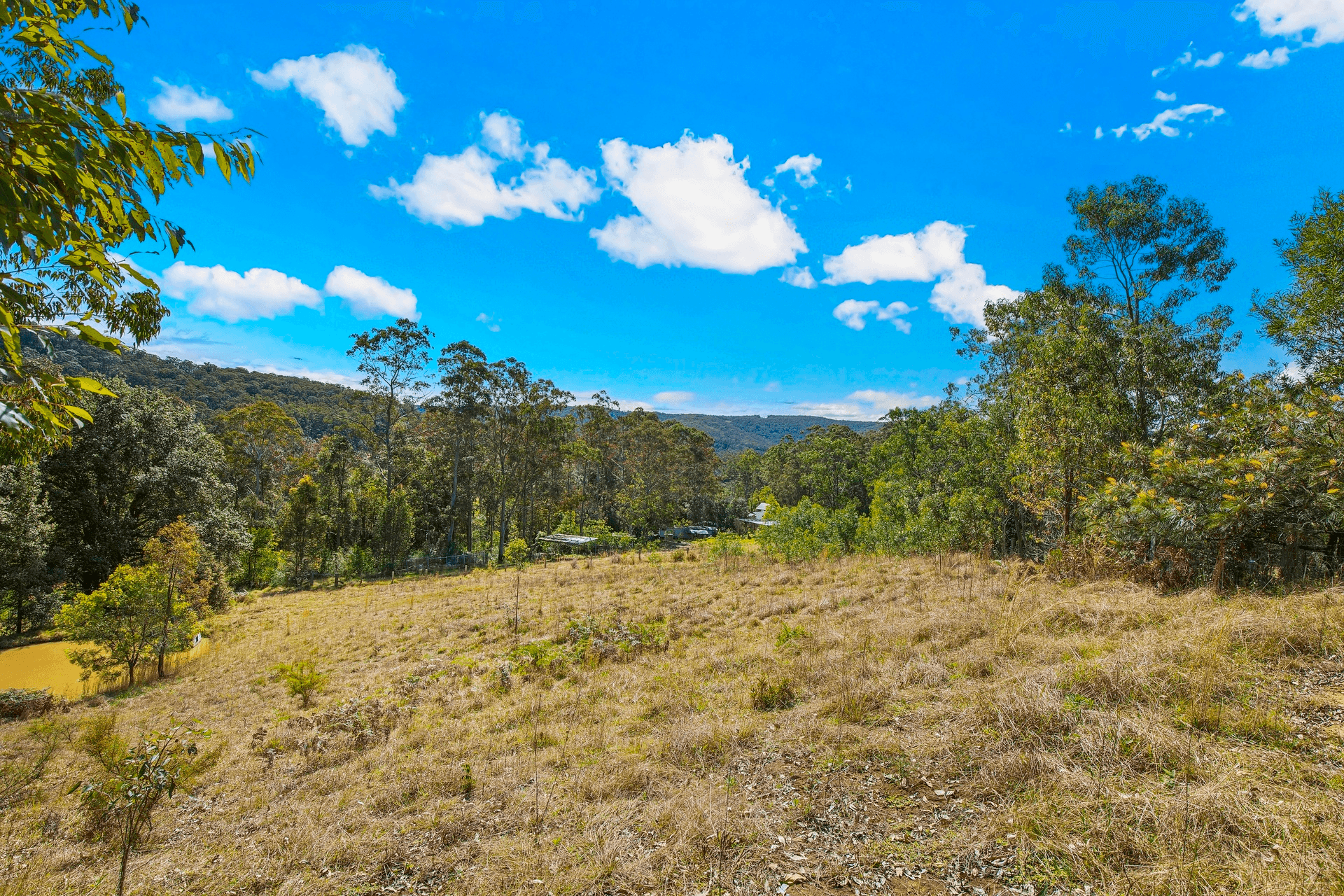 42 Chandlers Lane, Wyong Creek, NSW 2259