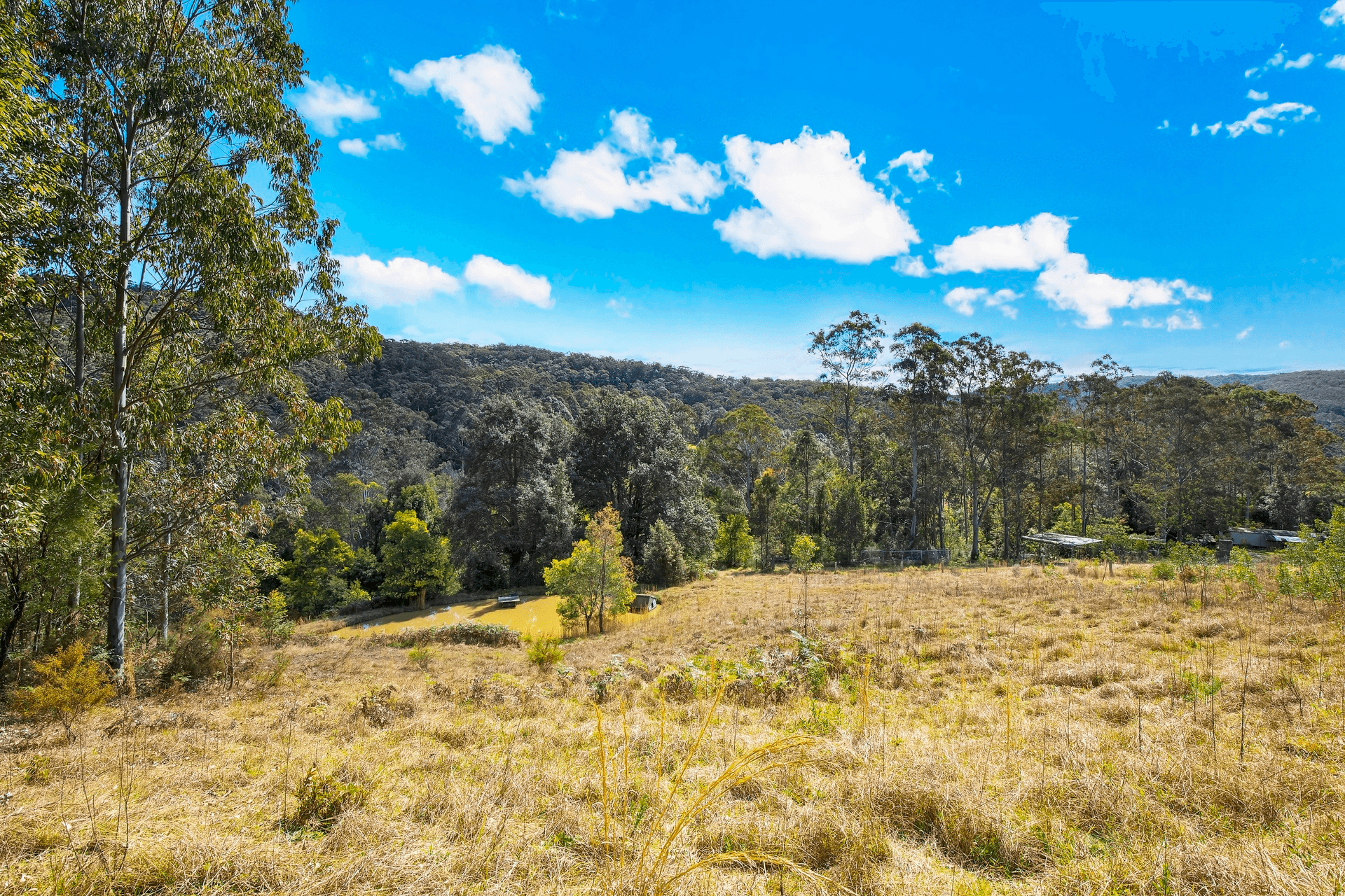 42 Chandlers Lane, Wyong Creek, NSW 2259