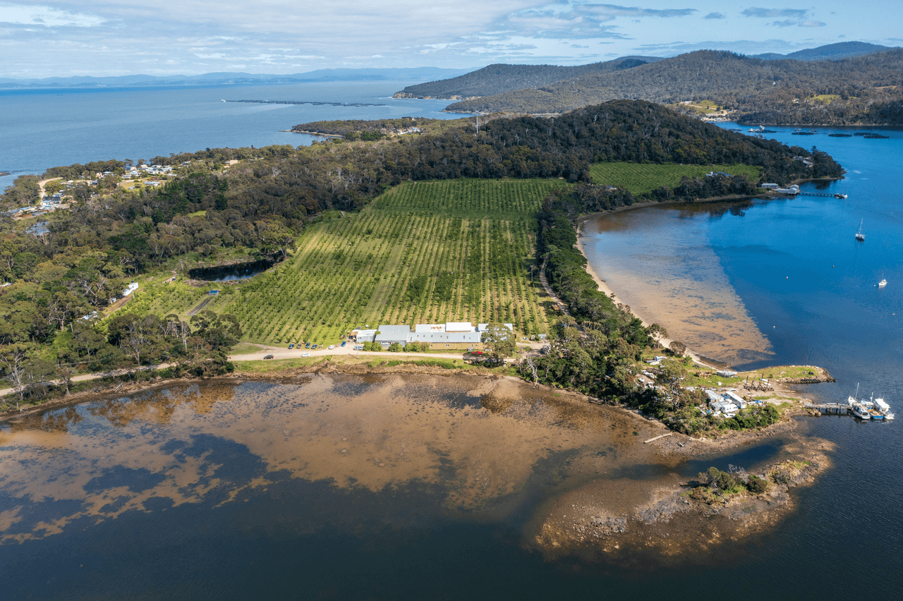 5 Parsons Bay Road, WHITE BEACH, TAS 7184