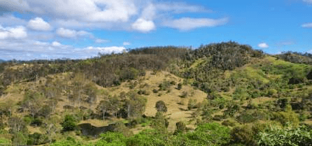 88 Highbury Lane, CHATSWORTH, QLD 4570