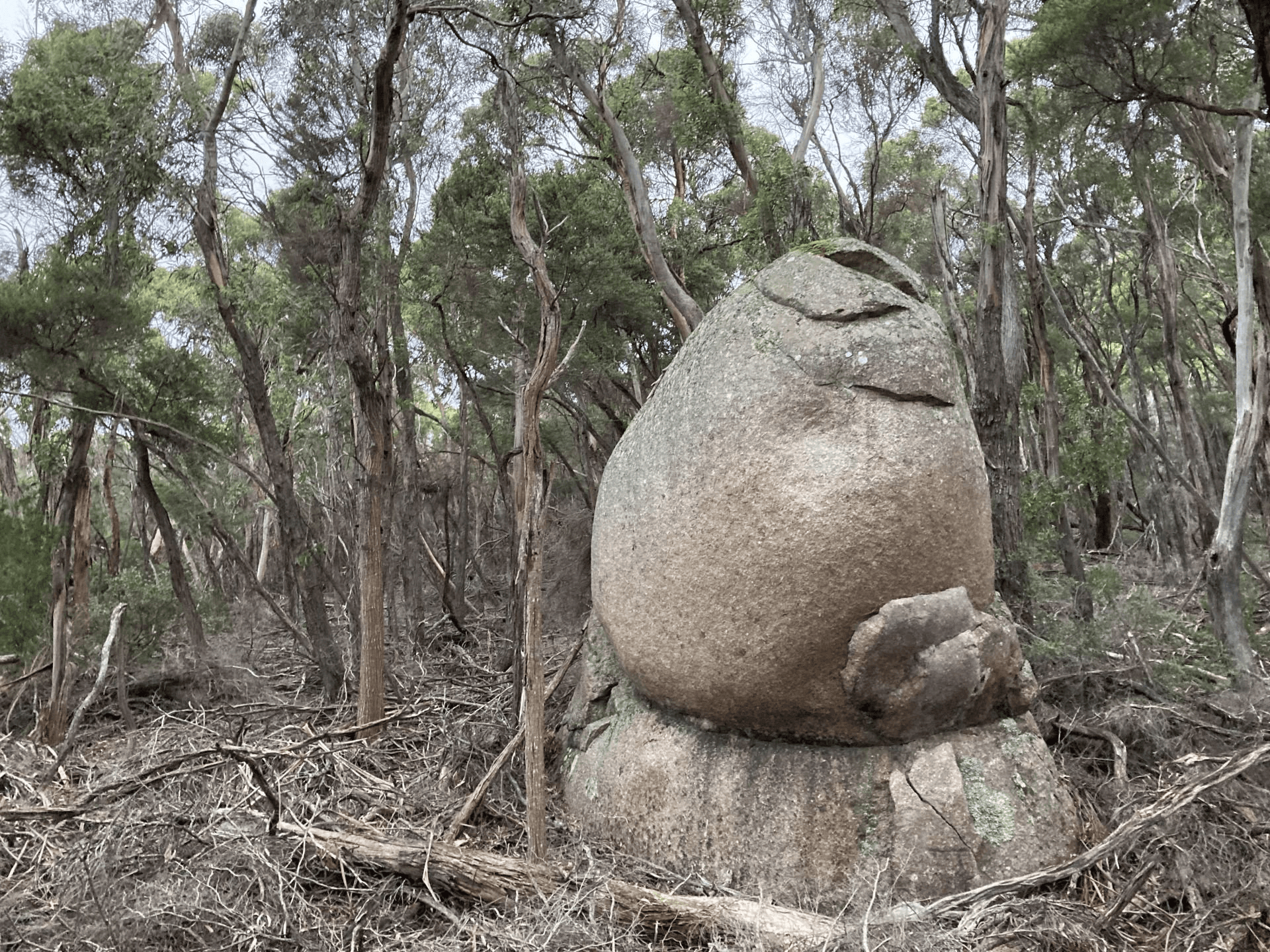 Lot 1/745 Trousers Point Road, Loccota, TAS 7255