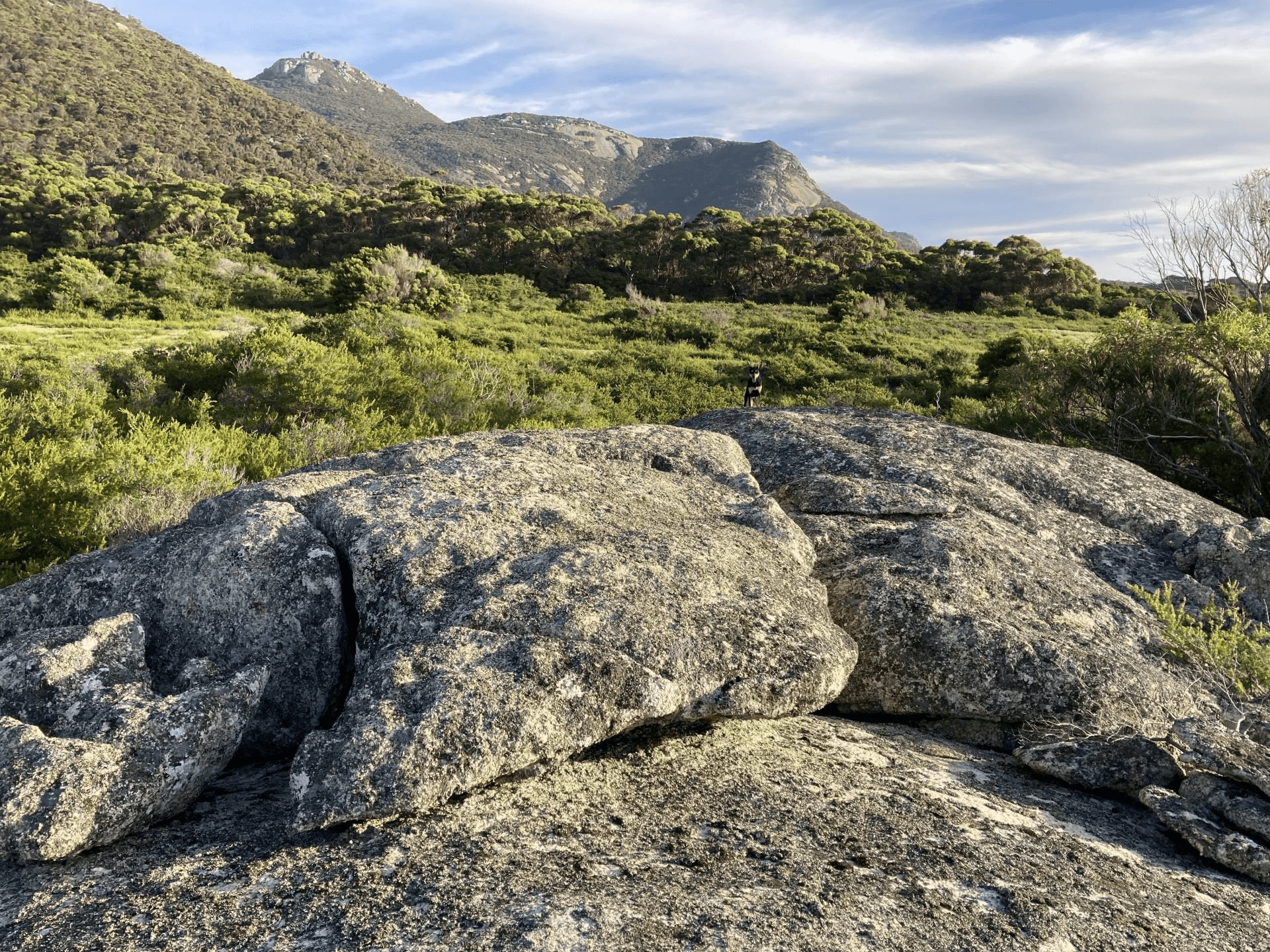 Lot 1/745 Trousers Point Road, Loccota, TAS 7255