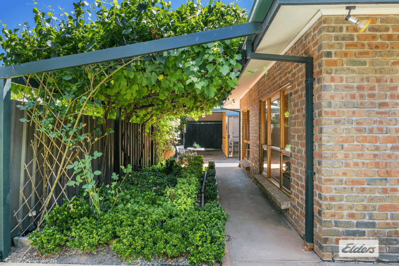 1a Churchill Avenue, Clarence Park, SA 5034