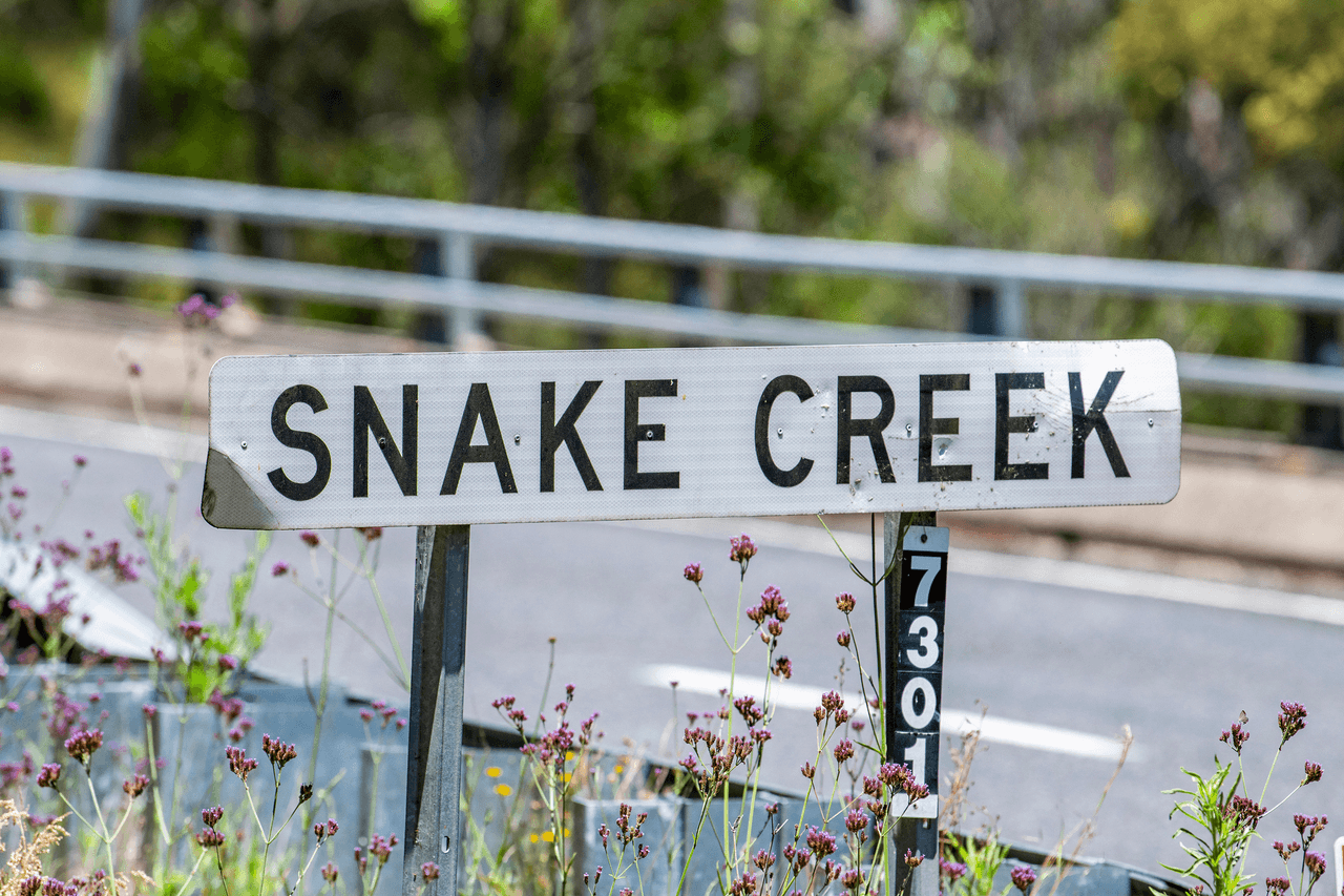 53 Snake Creek Road, TENTERFIELD, NSW 2372