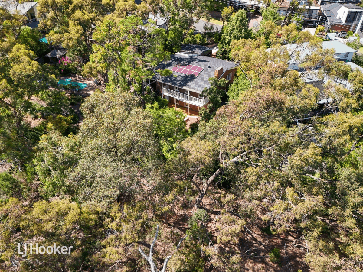 17 Queens Avenue, BURNSIDE, SA 5066