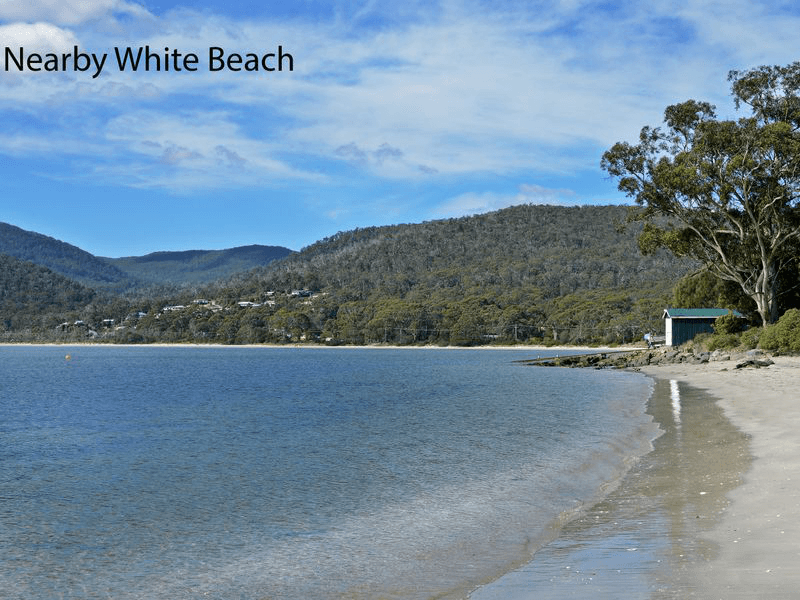 21 Fox Avenue, WHITE BEACH, TAS 7184