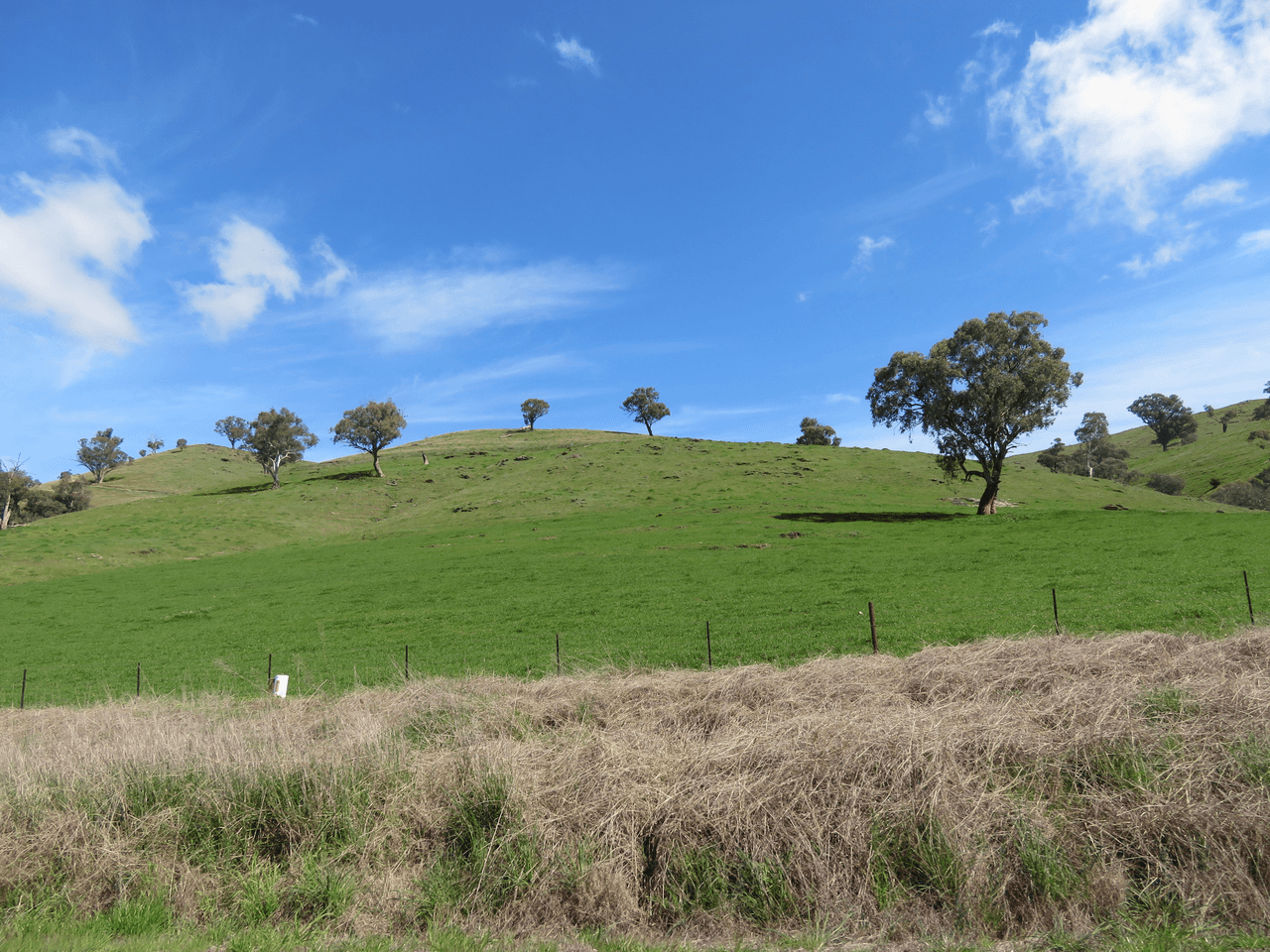 Lot 128 Burra Road, GUNDAGAI, NSW 2722