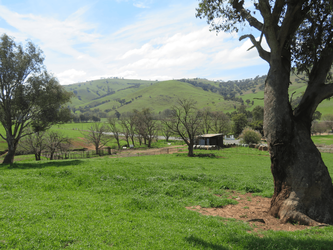 Lot 128 Burra Road, GUNDAGAI, NSW 2722