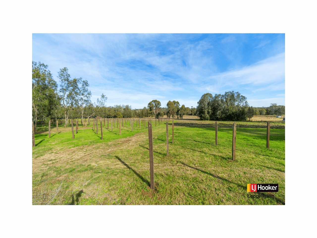 99 Dwyer Road, LEPPINGTON, NSW 2179