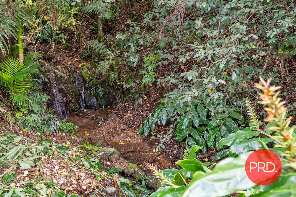 52 Lovetts Road, KORORA, NSW 2450