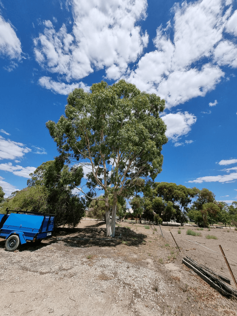 22 Barr Park Road, Cohuna, VIC 3568