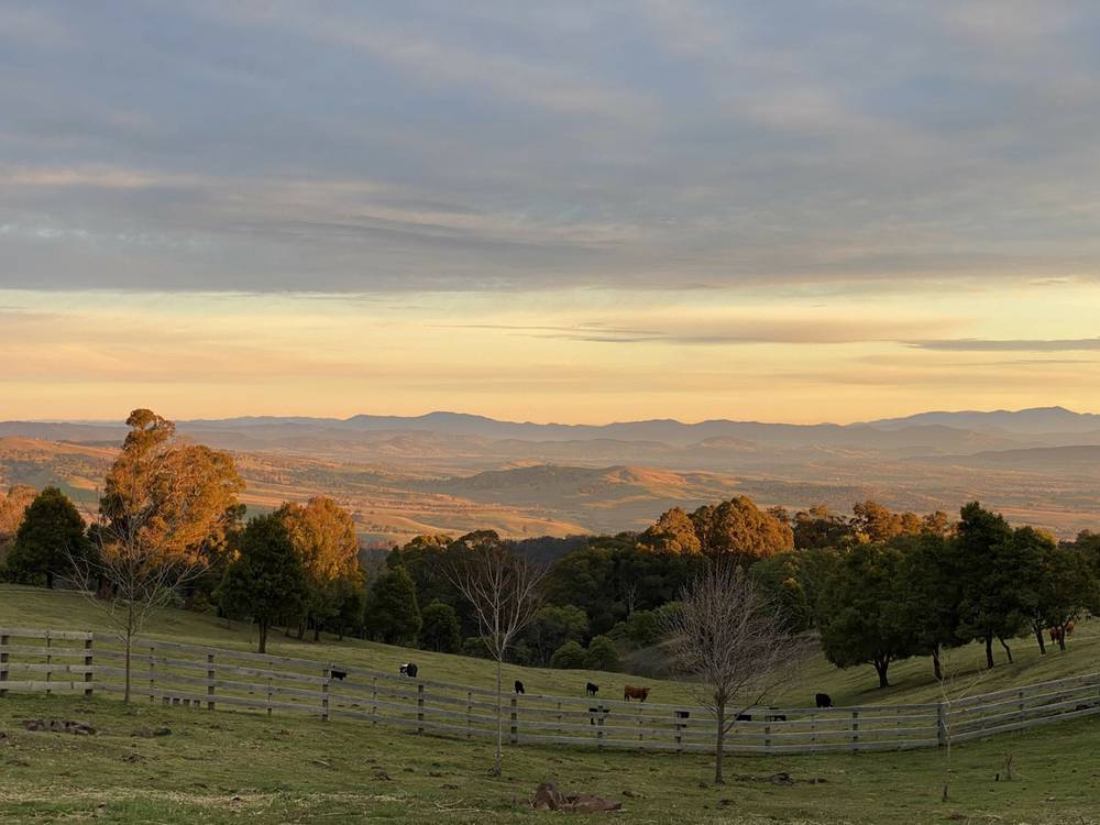 104 Bunstons Road, TOLMIE, VIC 3723