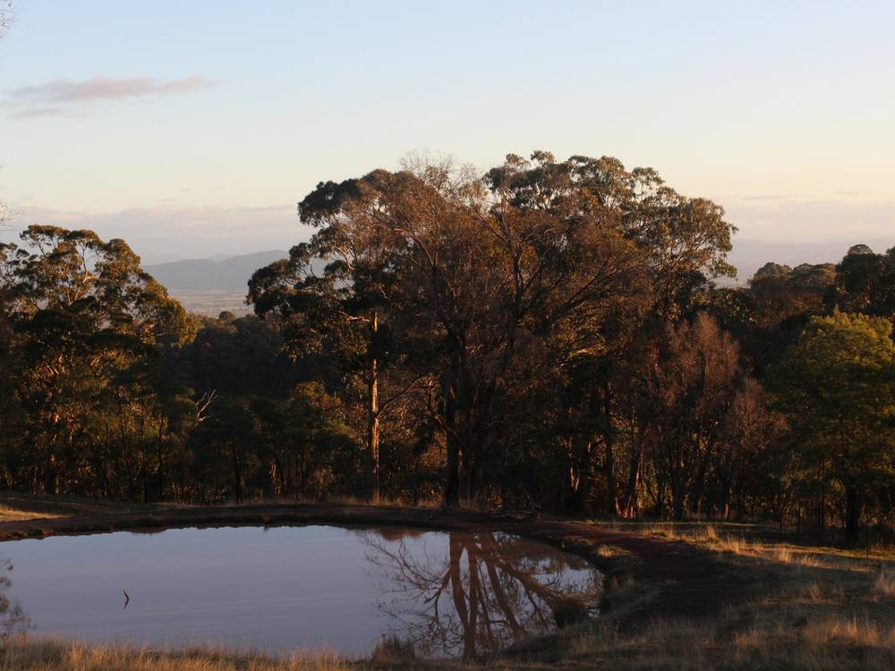 104 Bunstons Road, TOLMIE, VIC 3723